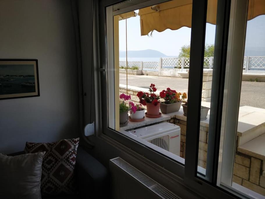 Ionian Blue Studio Preveza Exteriör bild